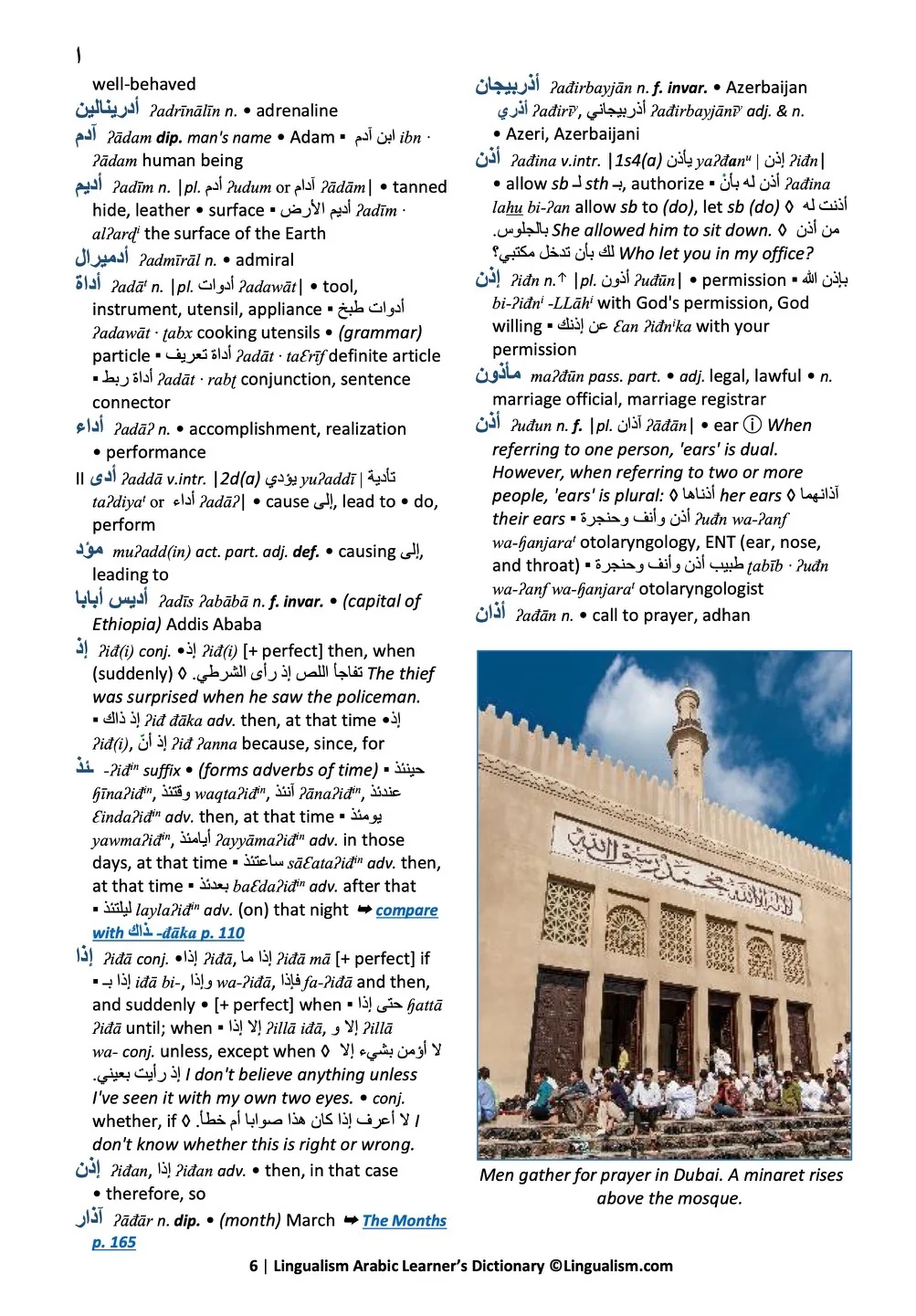 Arabic Learner's Dictionary - Image 8