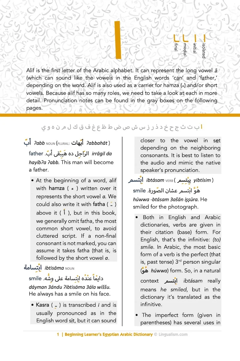 Beginning Learner's Egyptian Arabic Dictionary - Image 2