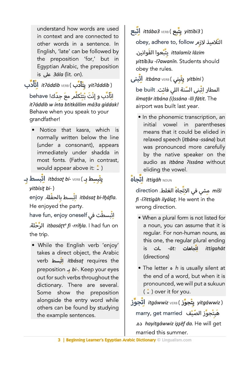 Beginning Learner's Egyptian Arabic Dictionary - Image 4