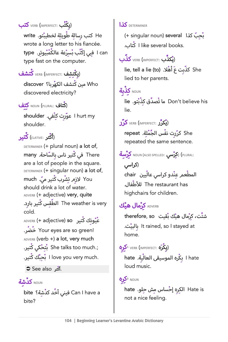 Beginning Learner's Levantine Arabic Dictionary - Image 5