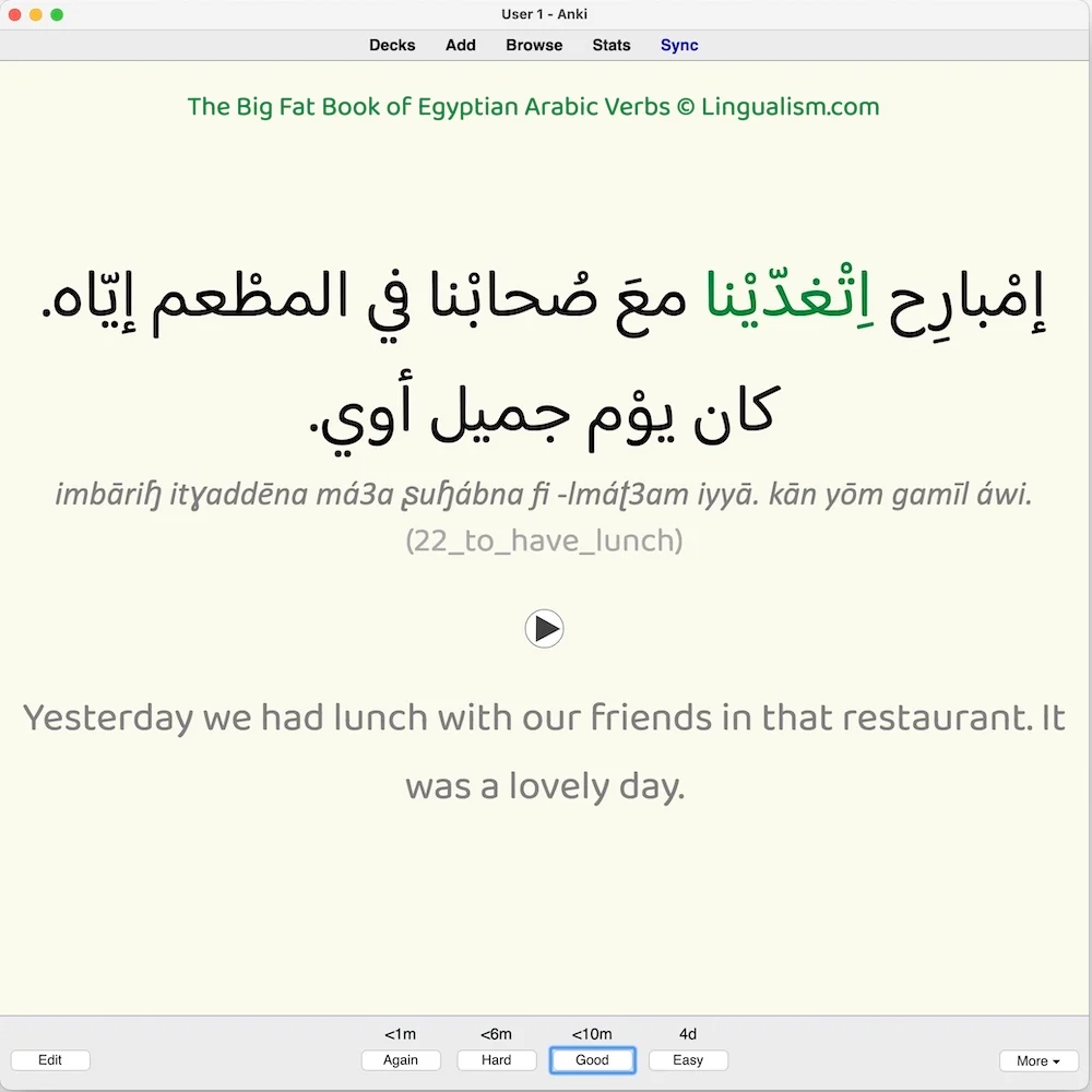 Big Fat Book of Egyptian Arabic Verbs: Anki Flashcards - Image 6