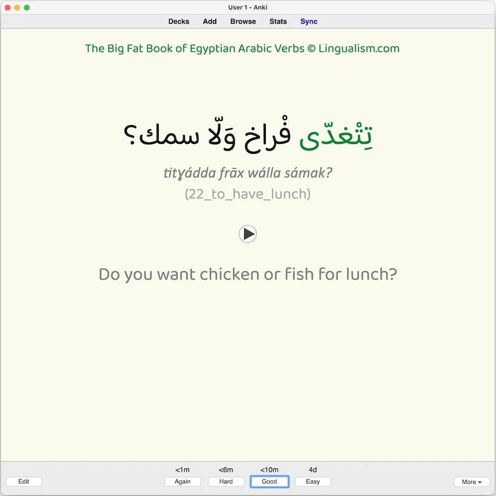 Big Fat Book of Egyptian Arabic Verbs: Anki Flashcards - Image 8