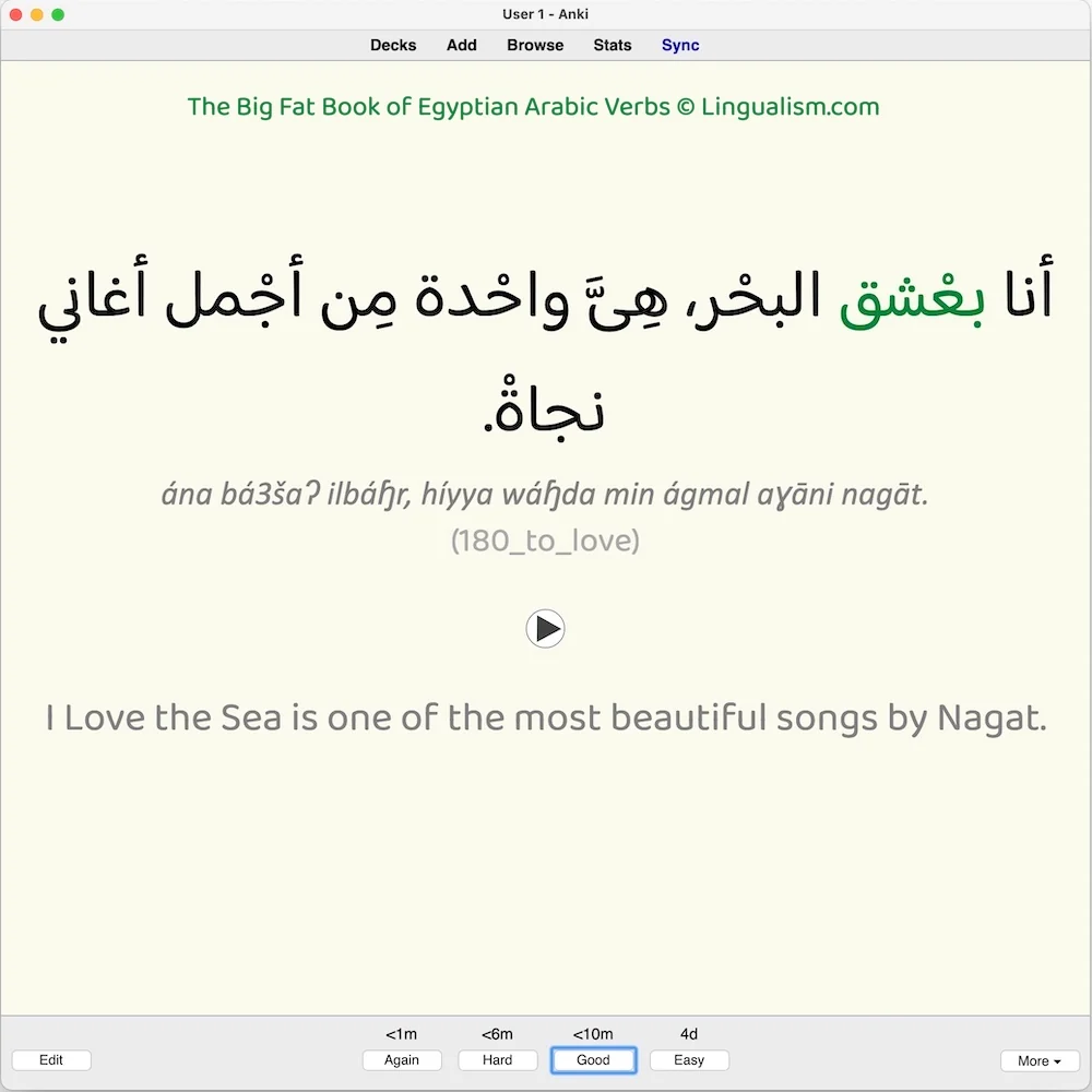 Big Fat Book of Egyptian Arabic Verbs: Anki Flashcards - Image 9