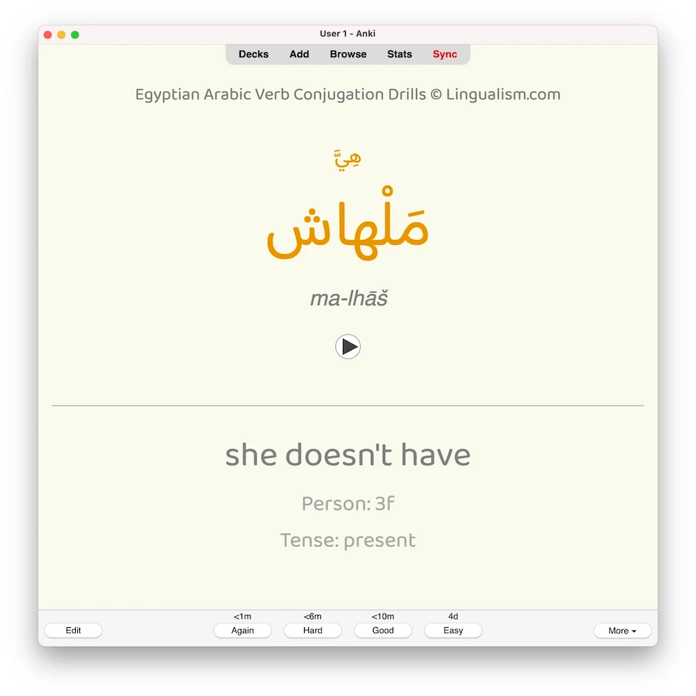 Egyptian Arabic Verb Conjugation Drills: Anki Flashcards (Set 2) - Image 4