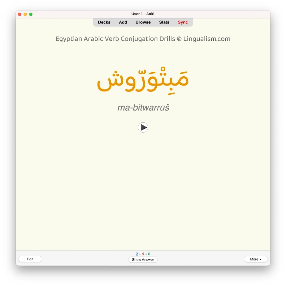 Egyptian Arabic Verb Conjugation Drills: Anki Flashcards (Set 2) - Image 5