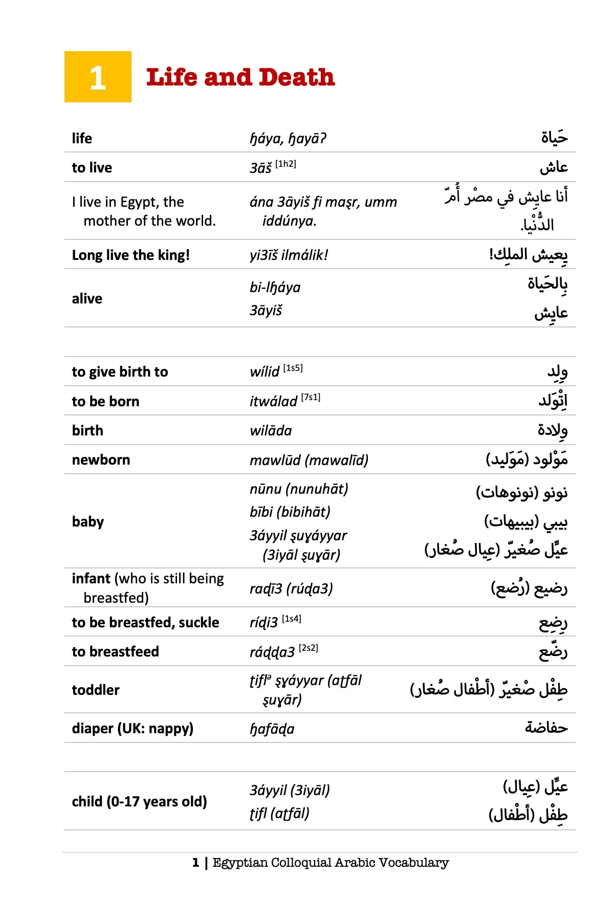 Egyptian Colloquial Arabic Vocabulary - Image 5