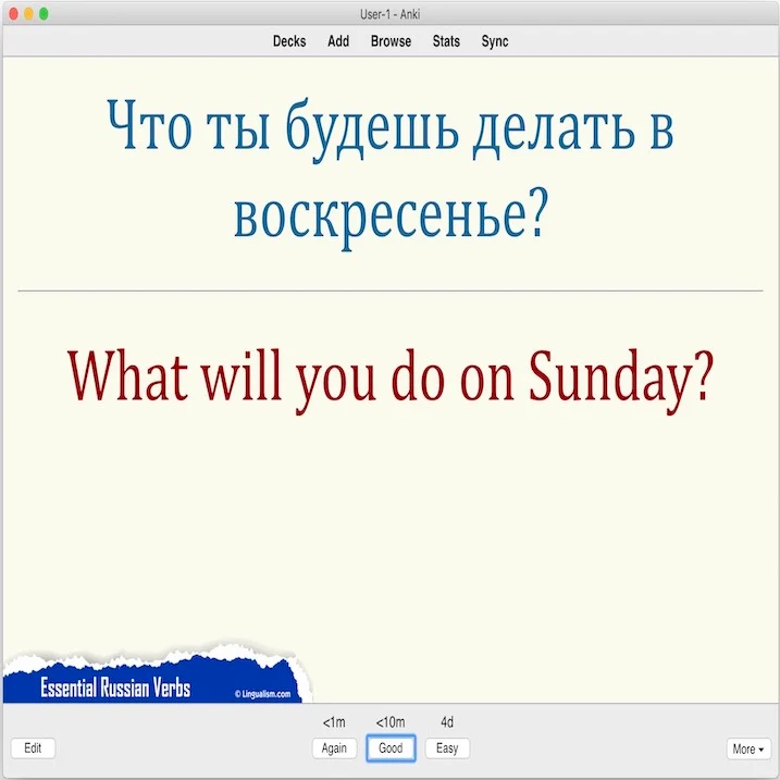 Essential Russian Verbs: Anki Flashcards - Image 4