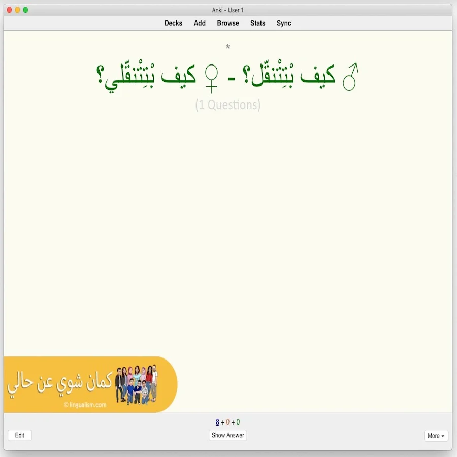 Kameen Shwayy 'An Haali: Anki Flashcards - Image 2