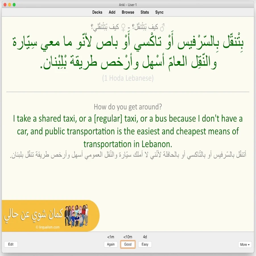 Kameen Shwayy 'An Haali: Anki Flashcards - Image 5