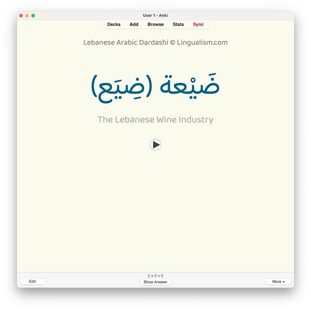 Lebanese Arabic Dardashi: Anki Flashcards - Image 5