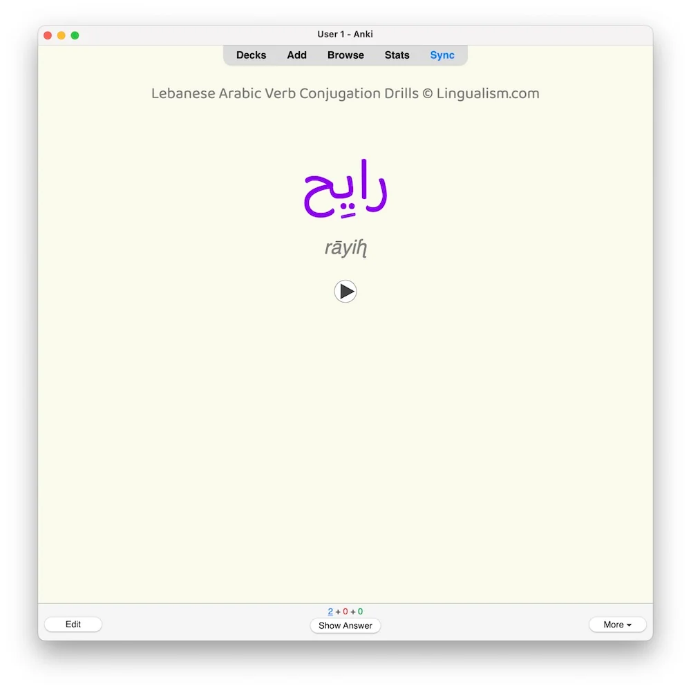 Lebanese Arabic Verb Conjugation Drills: Anki Flashcards (Set 1) - Image 5