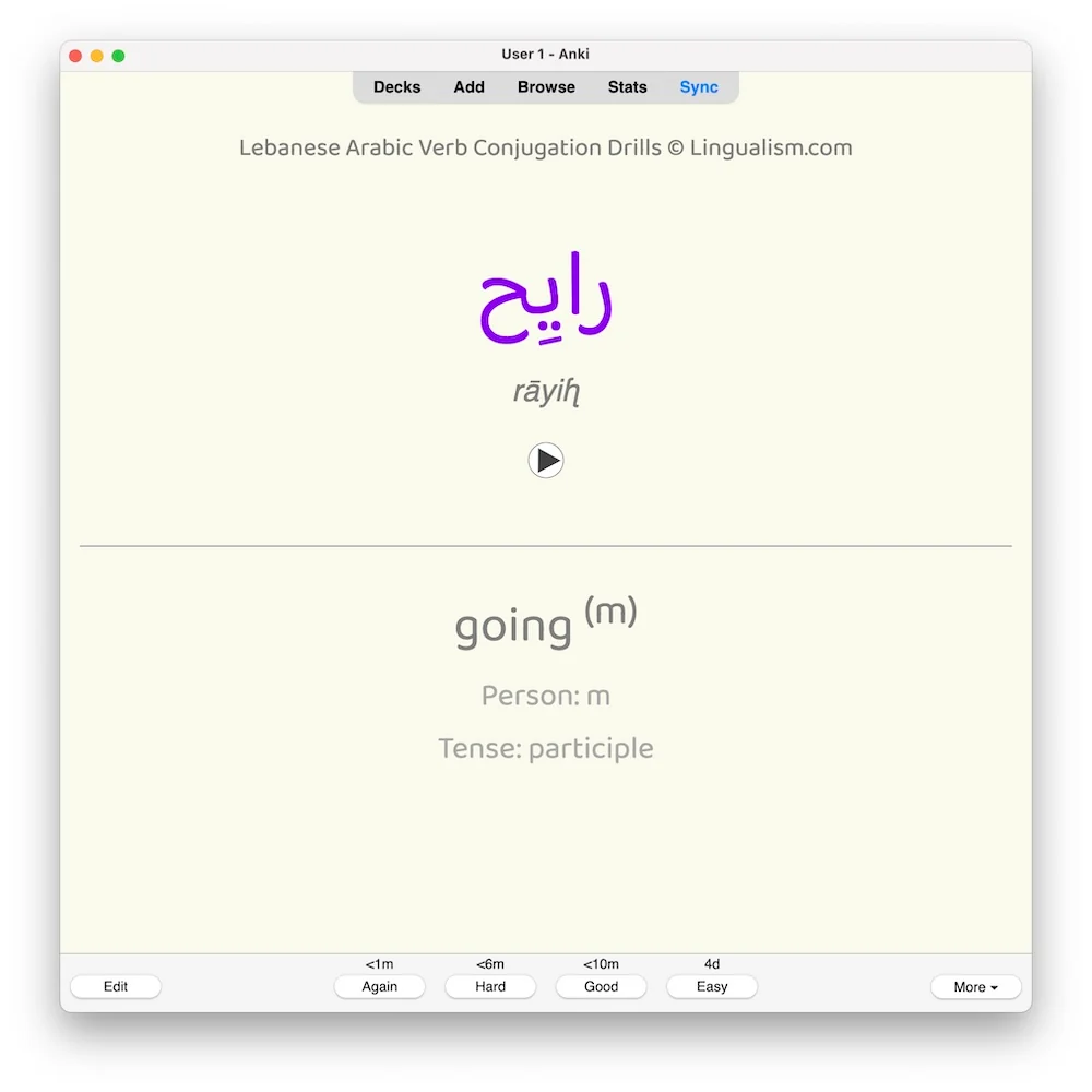 Lebanese Arabic Verb Conjugation Drills: Anki Flashcards (Set 1) - Image 6