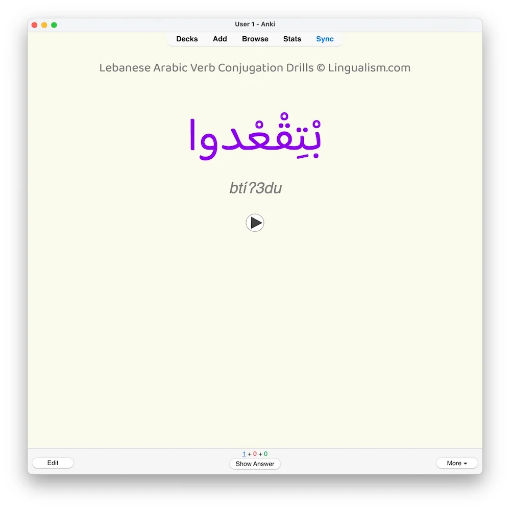 Lebanese Arabic Verb Conjugation Drills: Anki Flashcards (Set 3) - Image 4