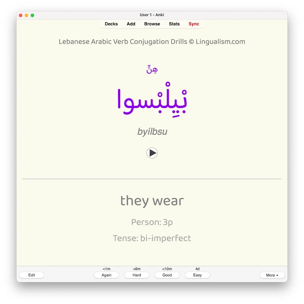 Lebanese Arabic Verb Conjugation Drills: Anki Flashcards (Set 4) - Image 5