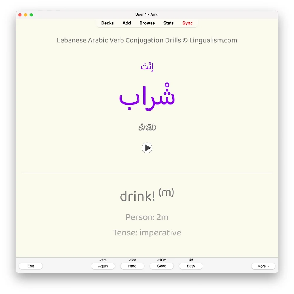 Lebanese Arabic Verb Conjugation Drills: Anki Flashcards (Set 4) - Image 7