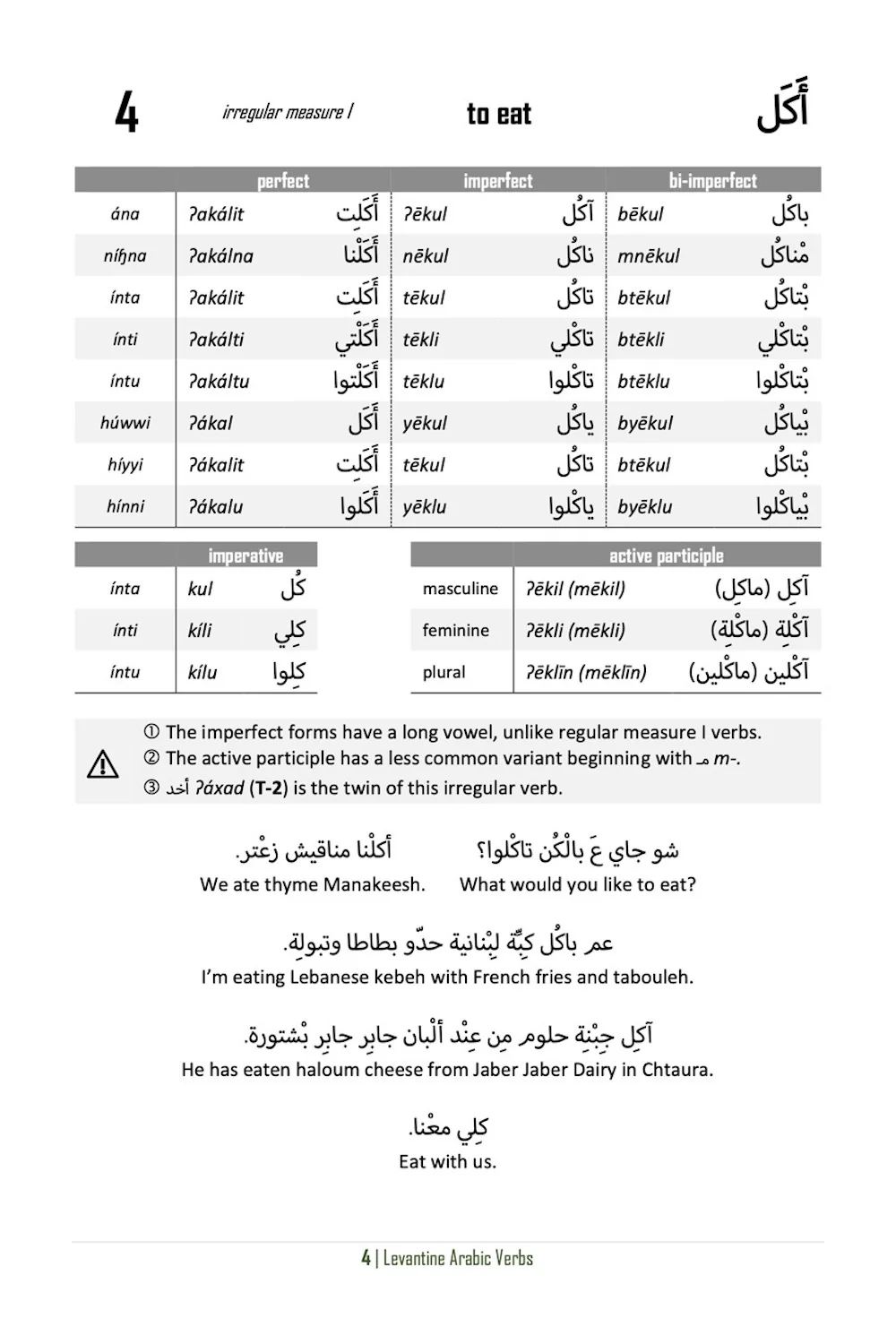 Levantine Arabic Verbs - Image 6