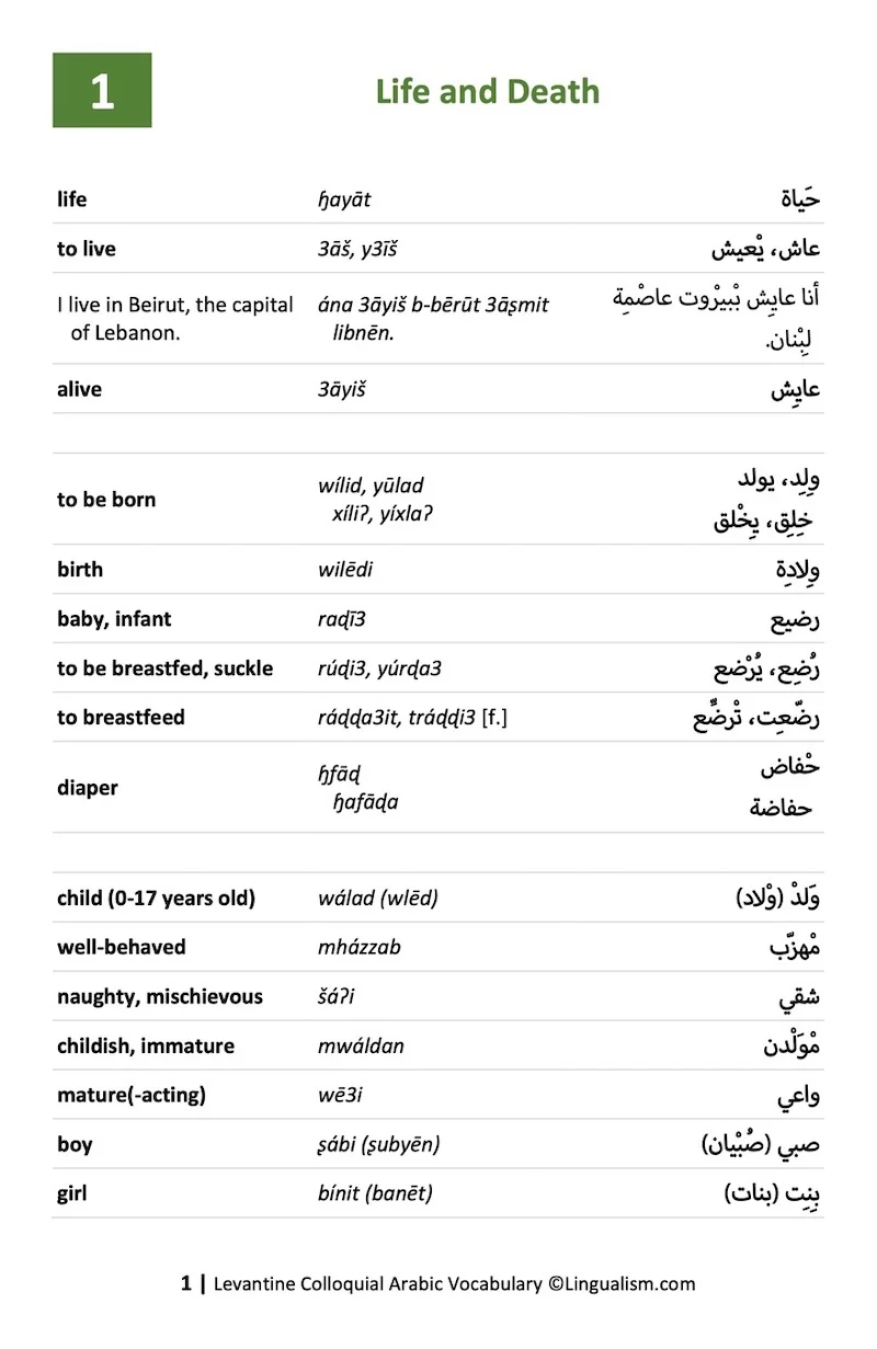 Levantine Colloquial Arabic Vocabulary - Image 5