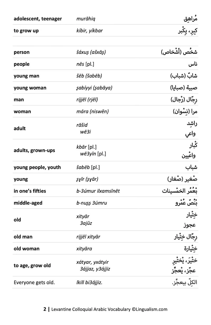 Levantine Colloquial Arabic Vocabulary - Image 6