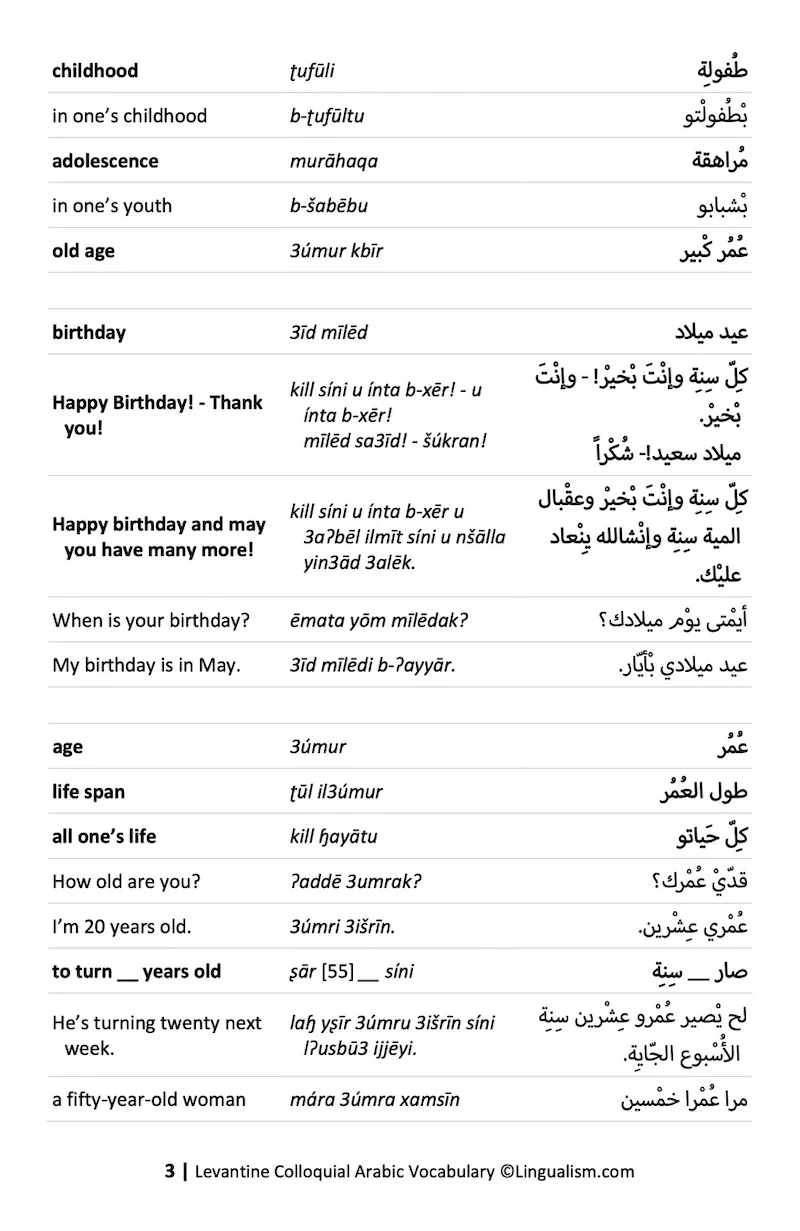 Levantine Colloquial Arabic Vocabulary - Image 7