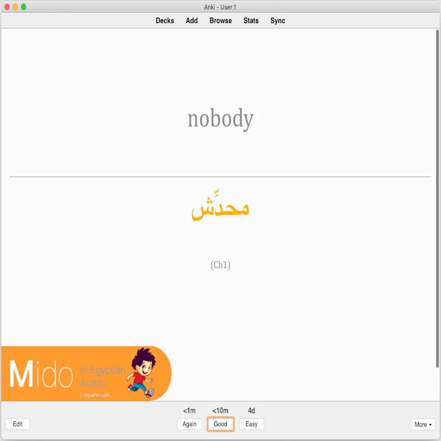 Mido in Egyptian Arabic: Anki Flashcards - Image 10