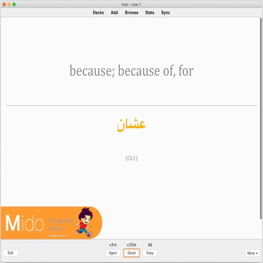 Mido in Egyptian Arabic: Anki Flashcards - Image 12