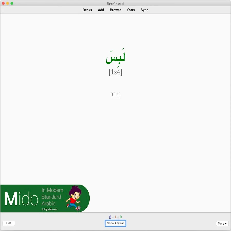 Mido in Modern Standard Arabic: Anki Flashcards - Image 6