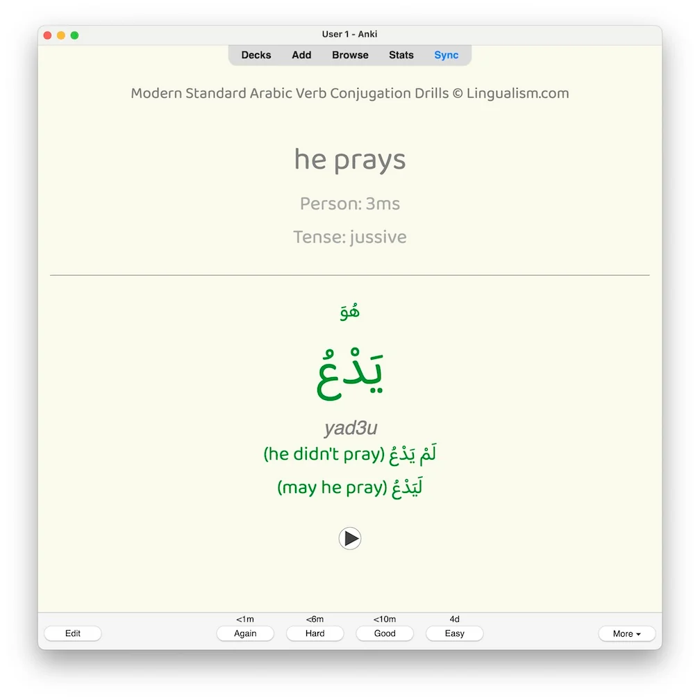Modern Standard Arabic Verb Conjugation Drills: Anki Flashcards (Set 3) - Image 6