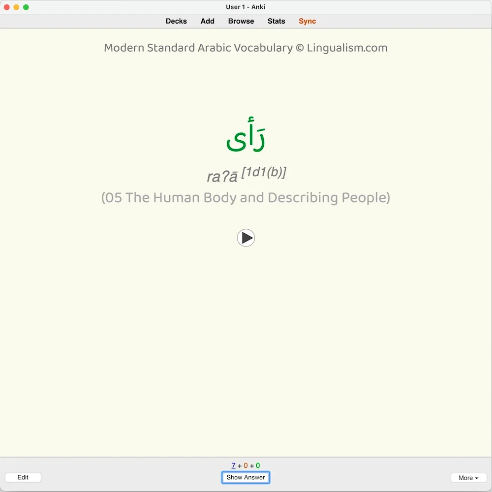 Modern Standard Arabic Vocabulary: Anki Flashcards - Image 6
