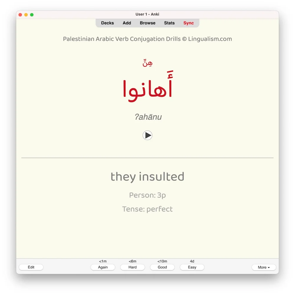 Palestinian Arabic Verb Conjugation Drills: Anki Flashcards (Set 2) - Image 2