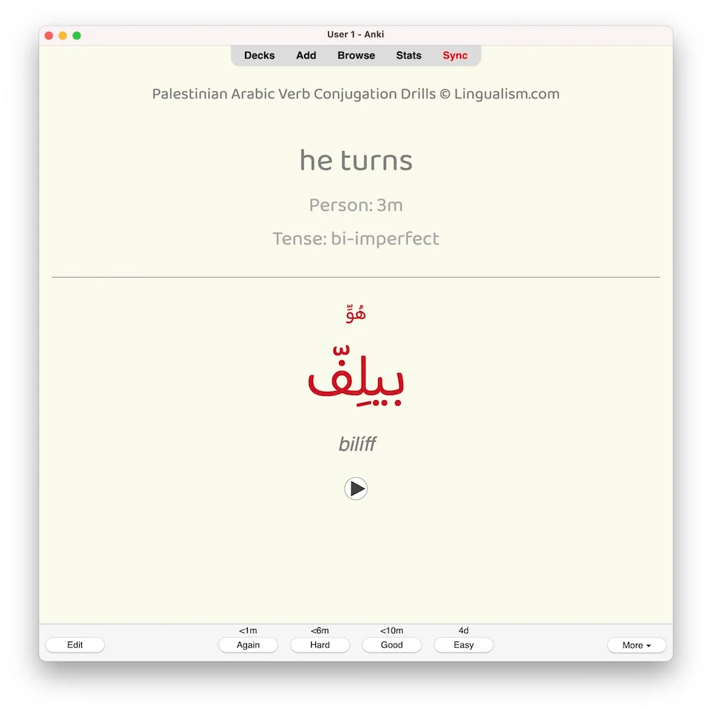 Palestinian Arabic Verb Conjugation Drills: Anki Flashcards (Set 2) - Image 6
