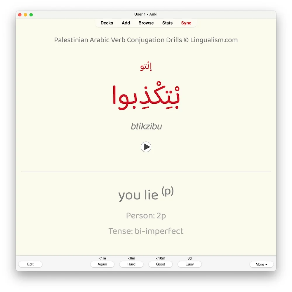 Palestinian Arabic Verb Conjugation Drills: Anki Flashcards (Set 4) - Image 7