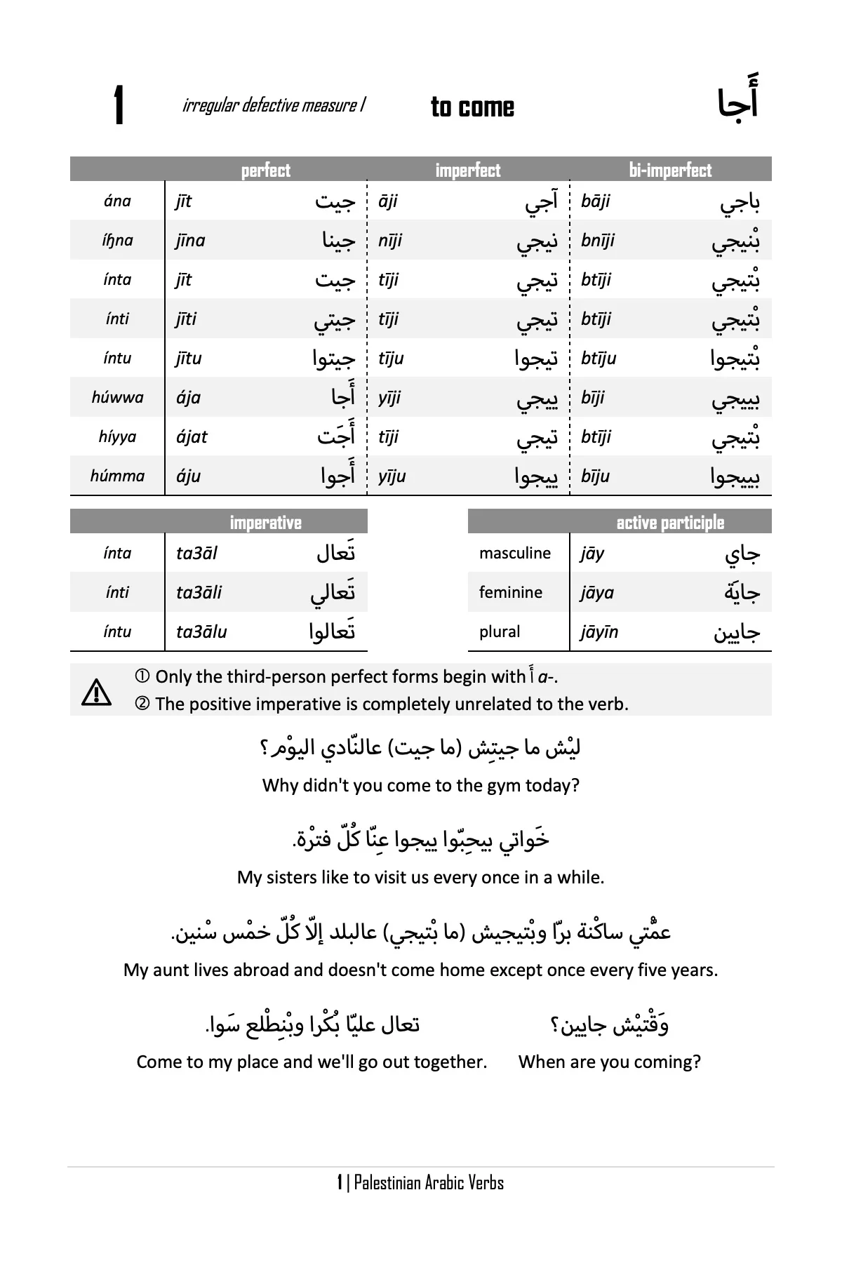 Palestinian Arabic Verbs - Image 3