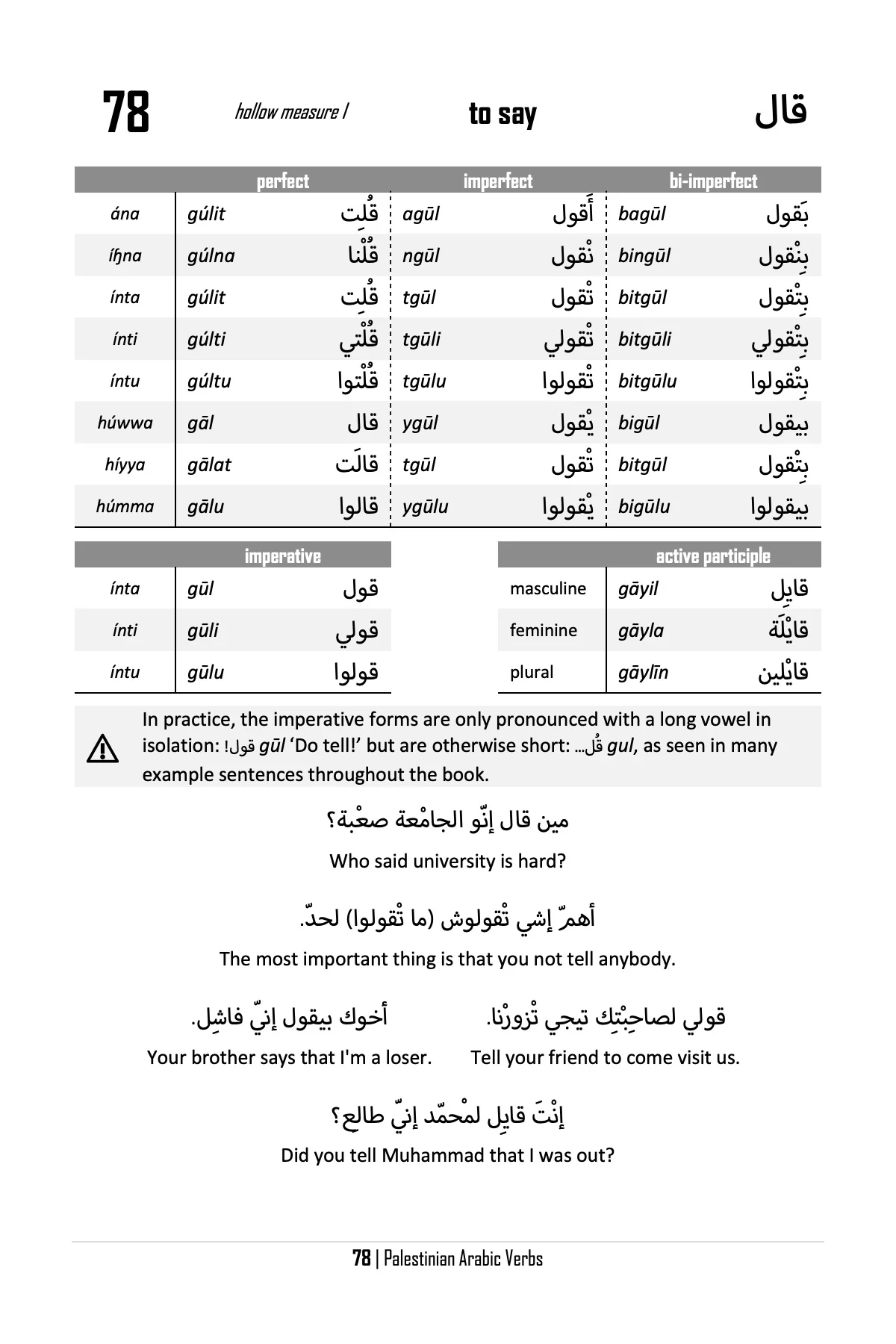 Palestinian Arabic Verbs - Image 4