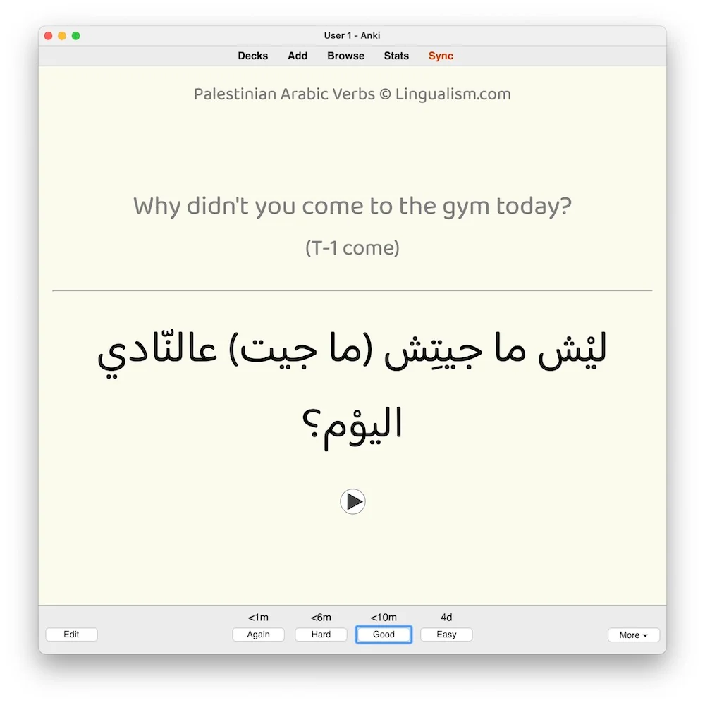 Palestinian Arabic Verbs: Anki Flashcards - Image 5