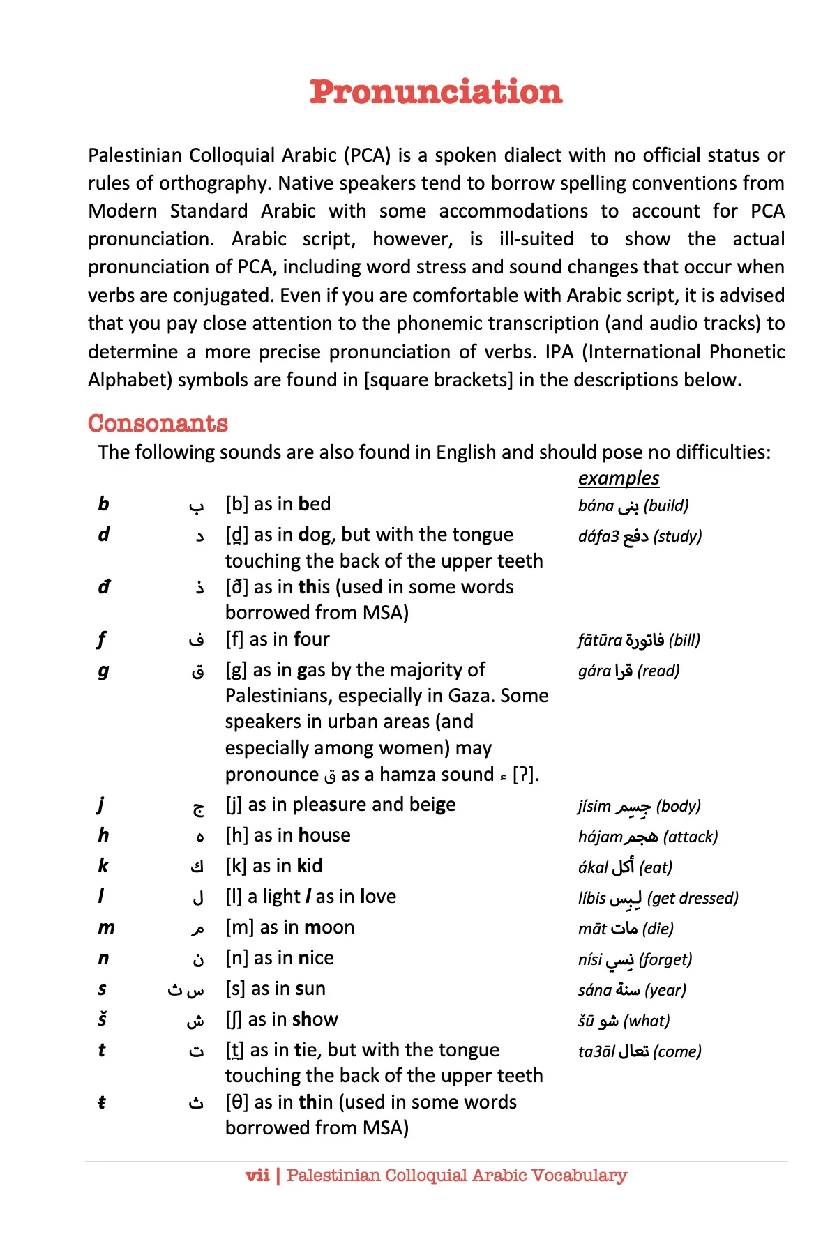 Palestinian Colloquial Arabic Vocabulary - Image 8