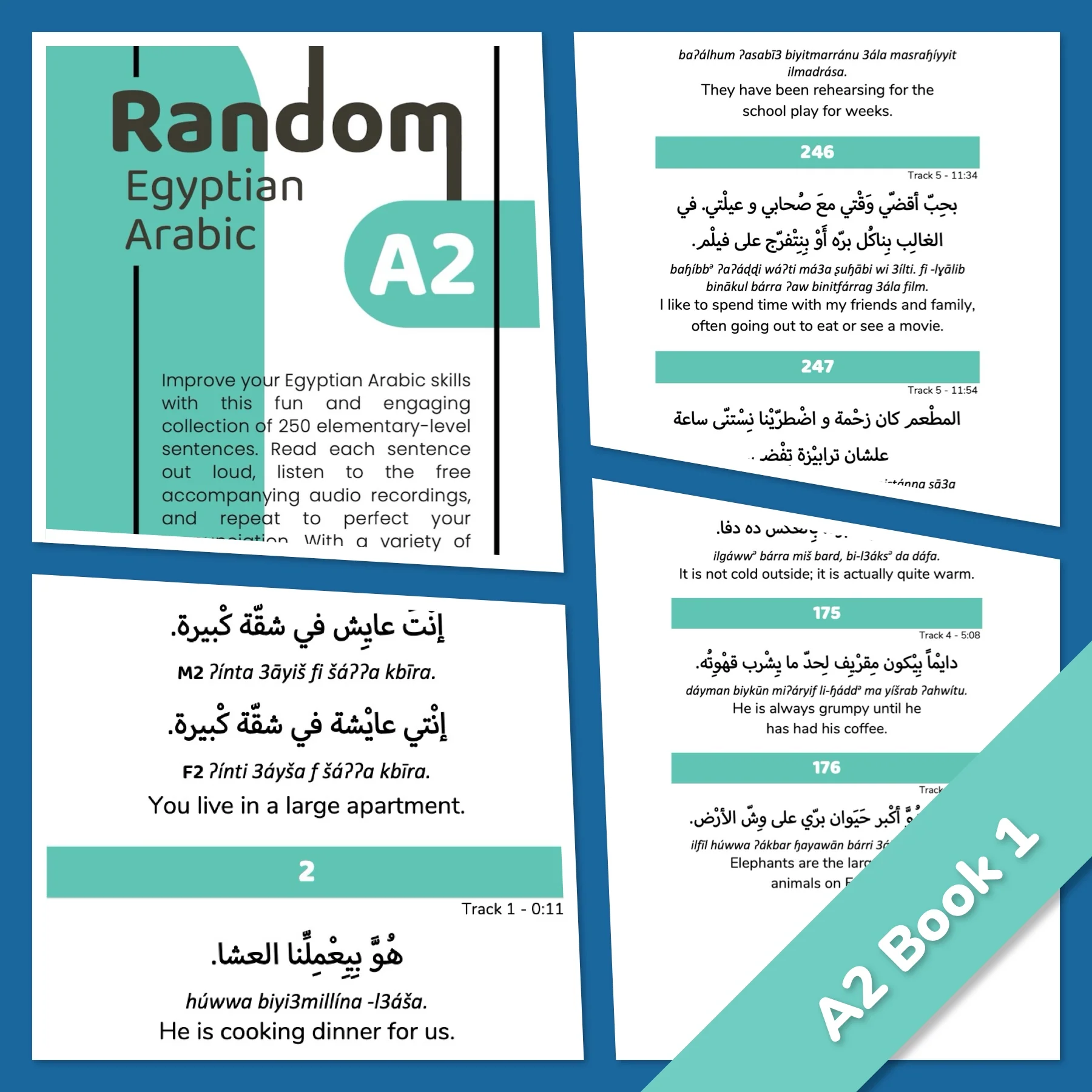 Random Egyptian Arabic Series - Image 4