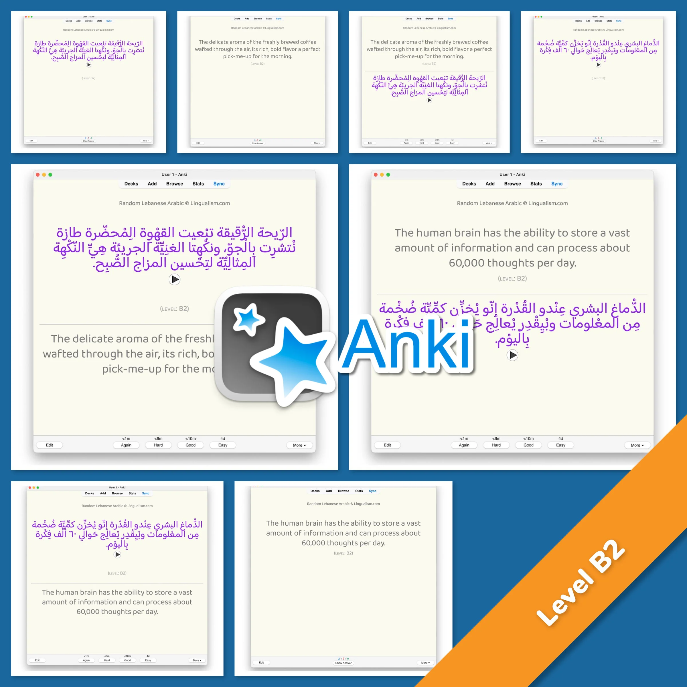 Random Lebanese Arabic Anki - Image 5