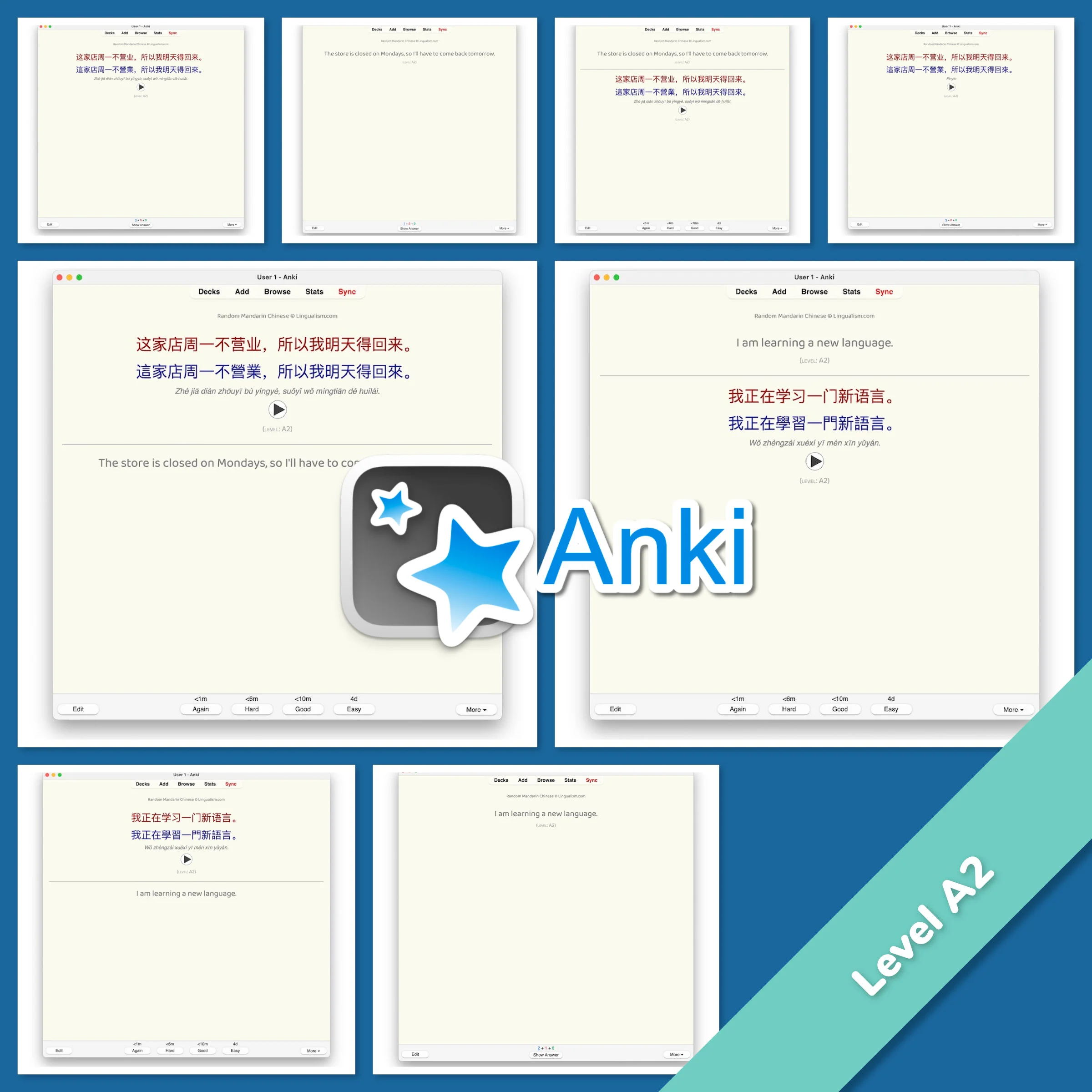 Random Mandarin Chinese Anki - Image 3