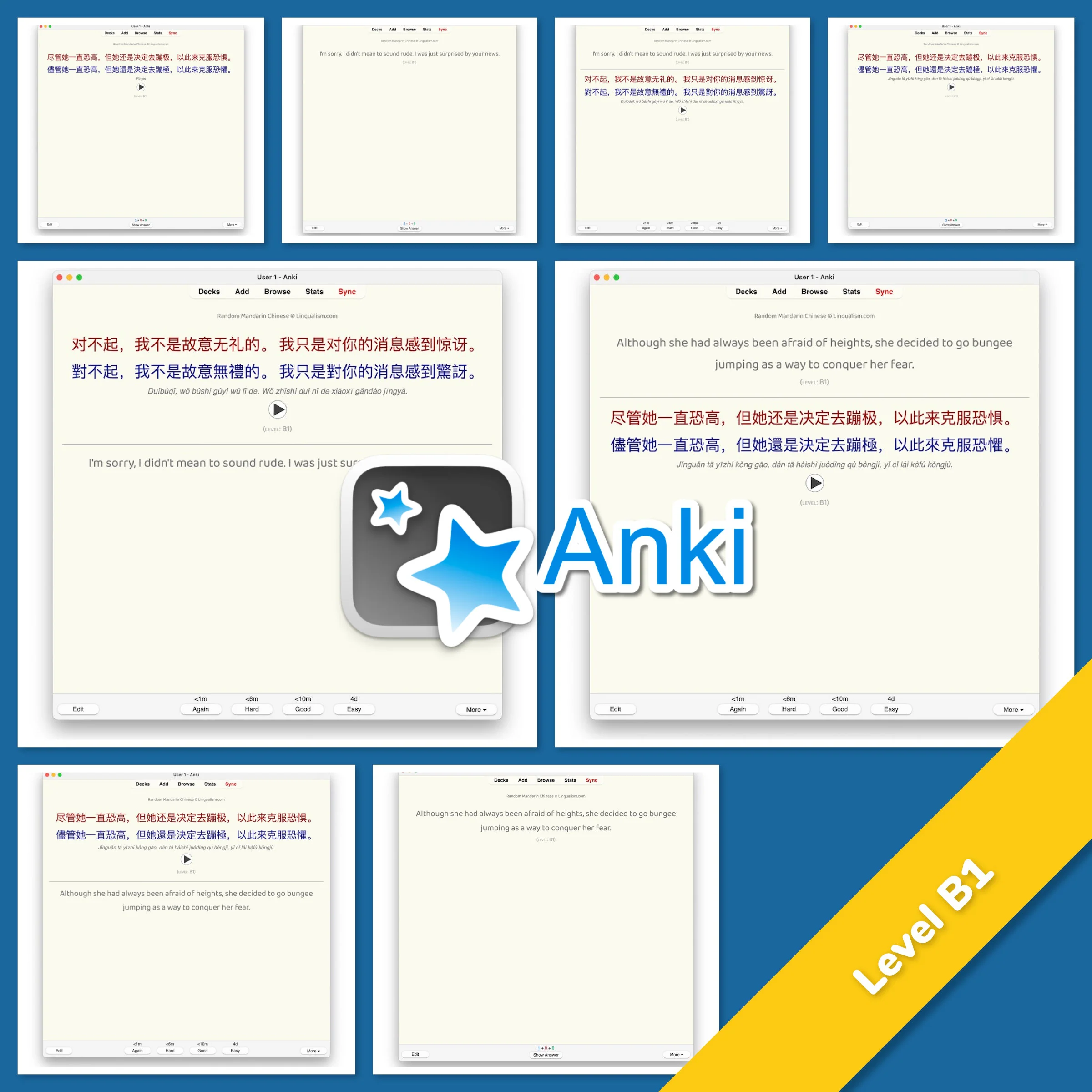 Random Mandarin Chinese Anki - Image 4