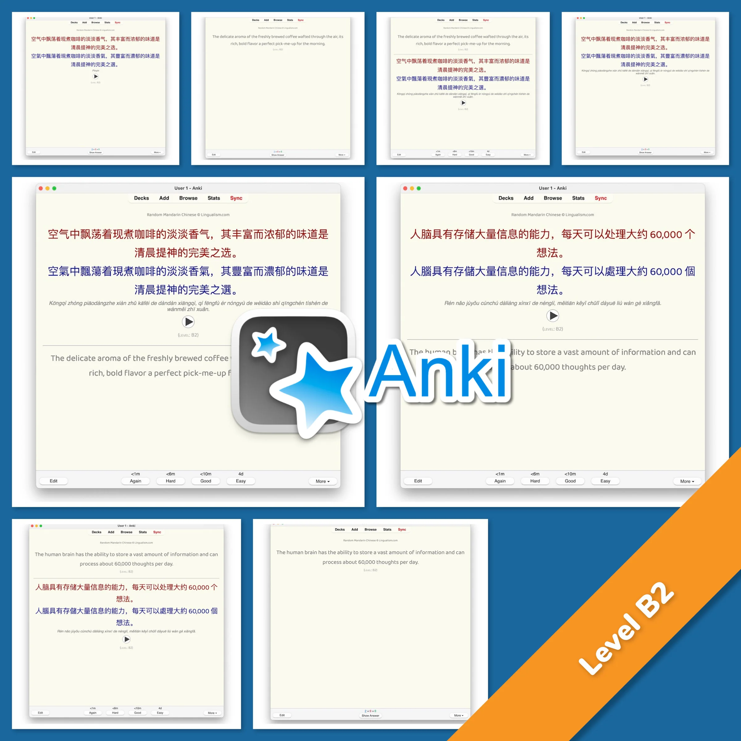 Random Mandarin Chinese Anki - Image 5