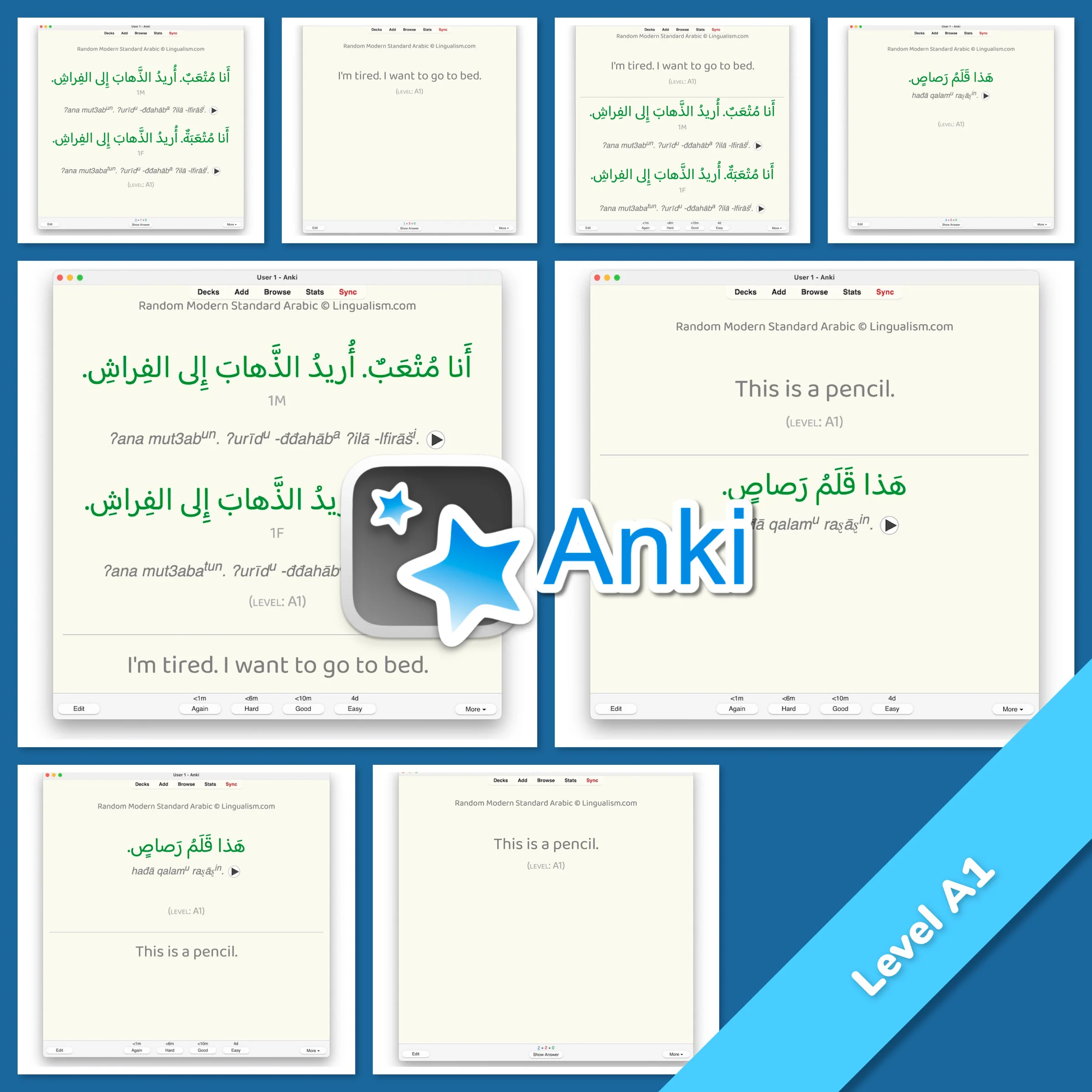 Random Modern Standard Arabic Anki - Image 2