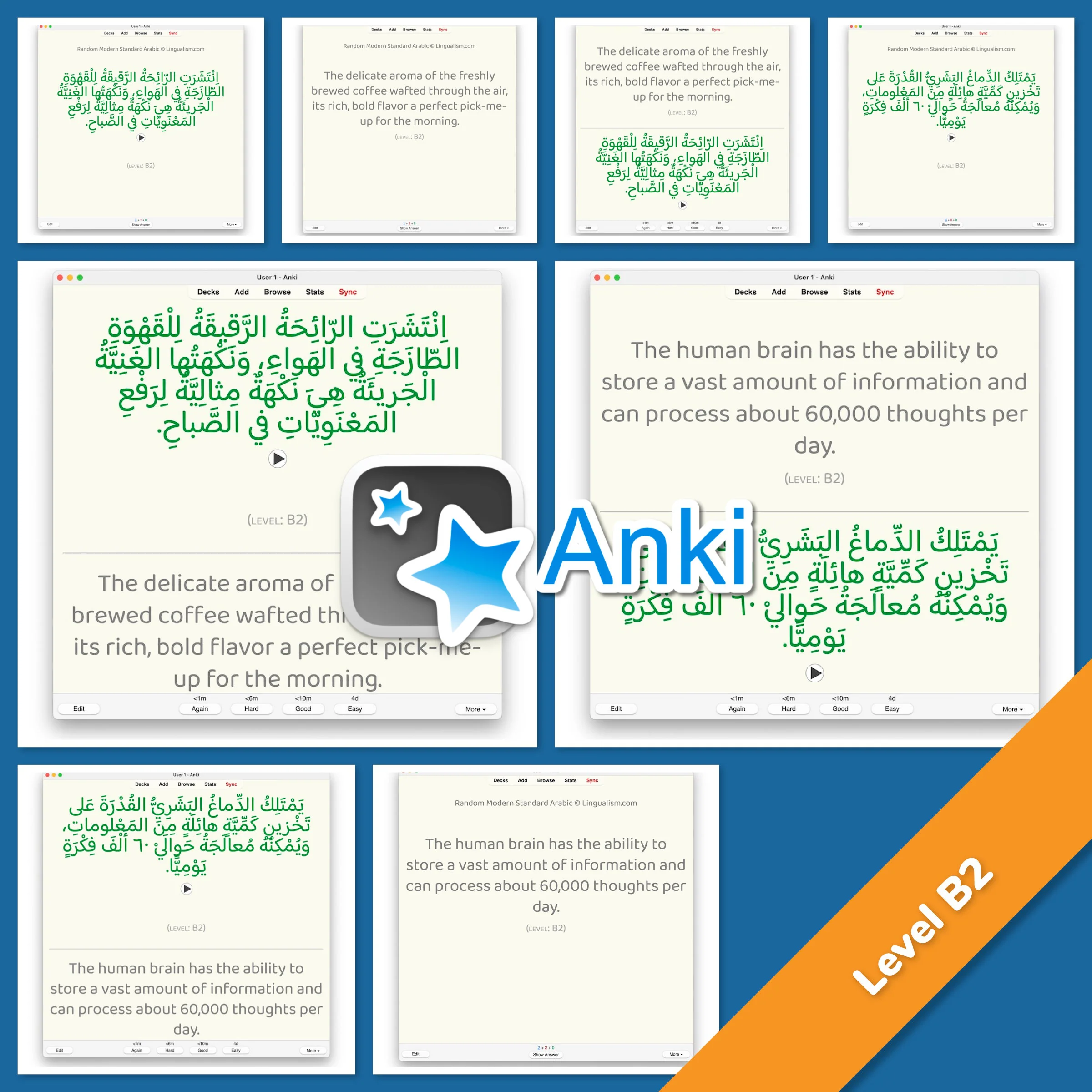 Random Modern Standard Arabic Anki - Image 5