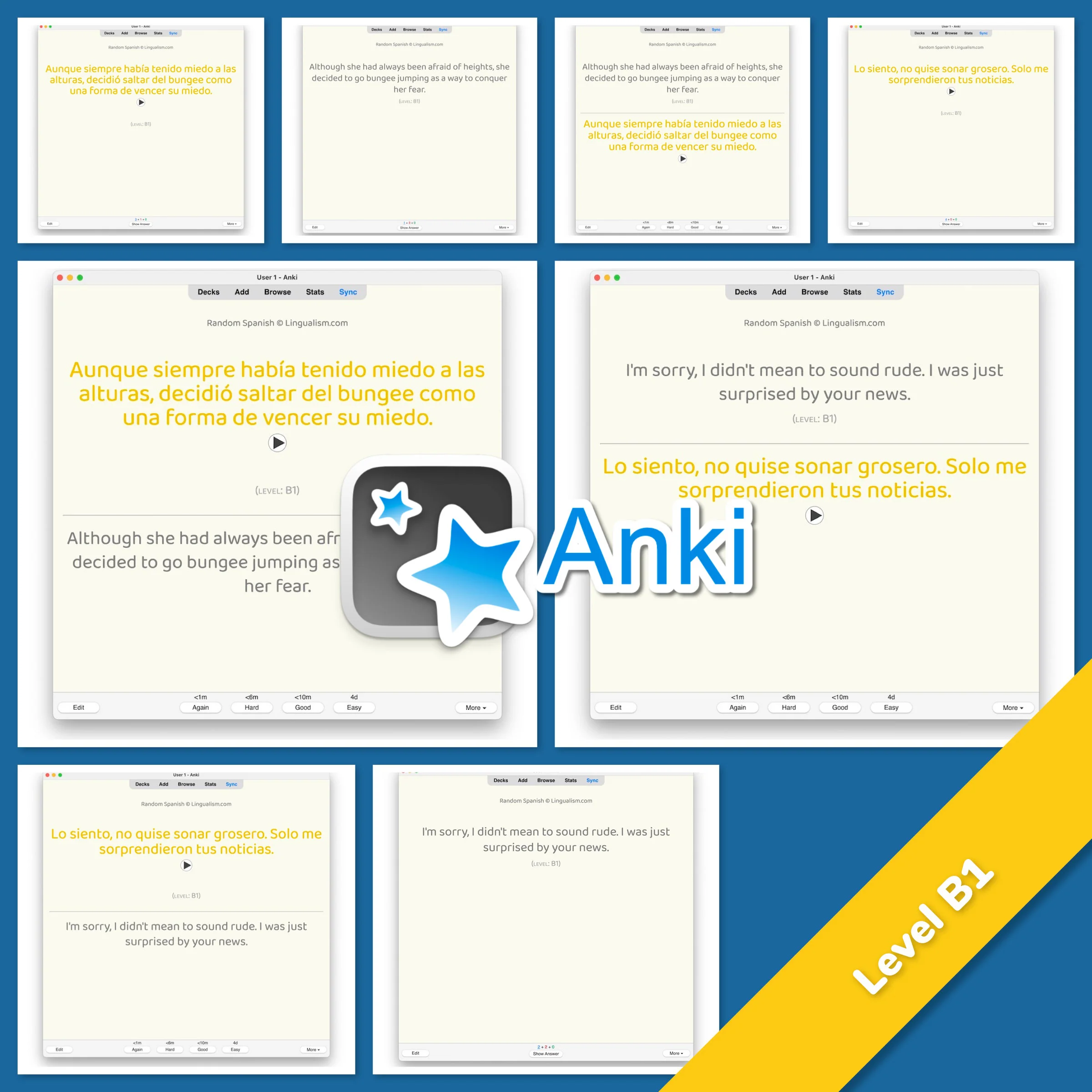 Random Spanish Anki - Image 4