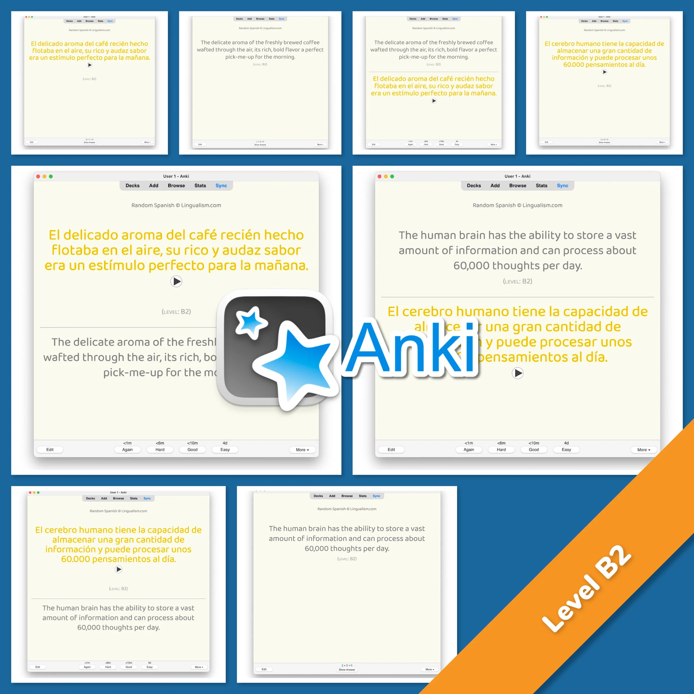 Random Spanish Anki - Image 5